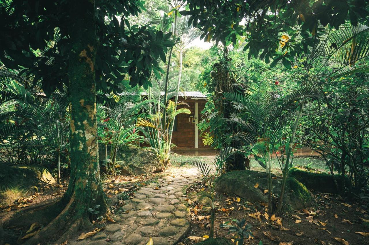 Huingos Eco Lodge Tarapoto Exteriér fotografie