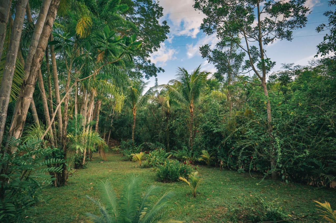 Huingos Eco Lodge Tarapoto Exteriér fotografie