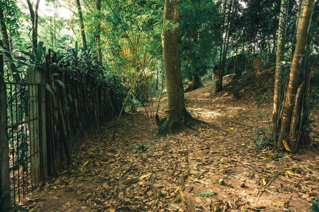 Huingos Eco Lodge Tarapoto Exteriér fotografie