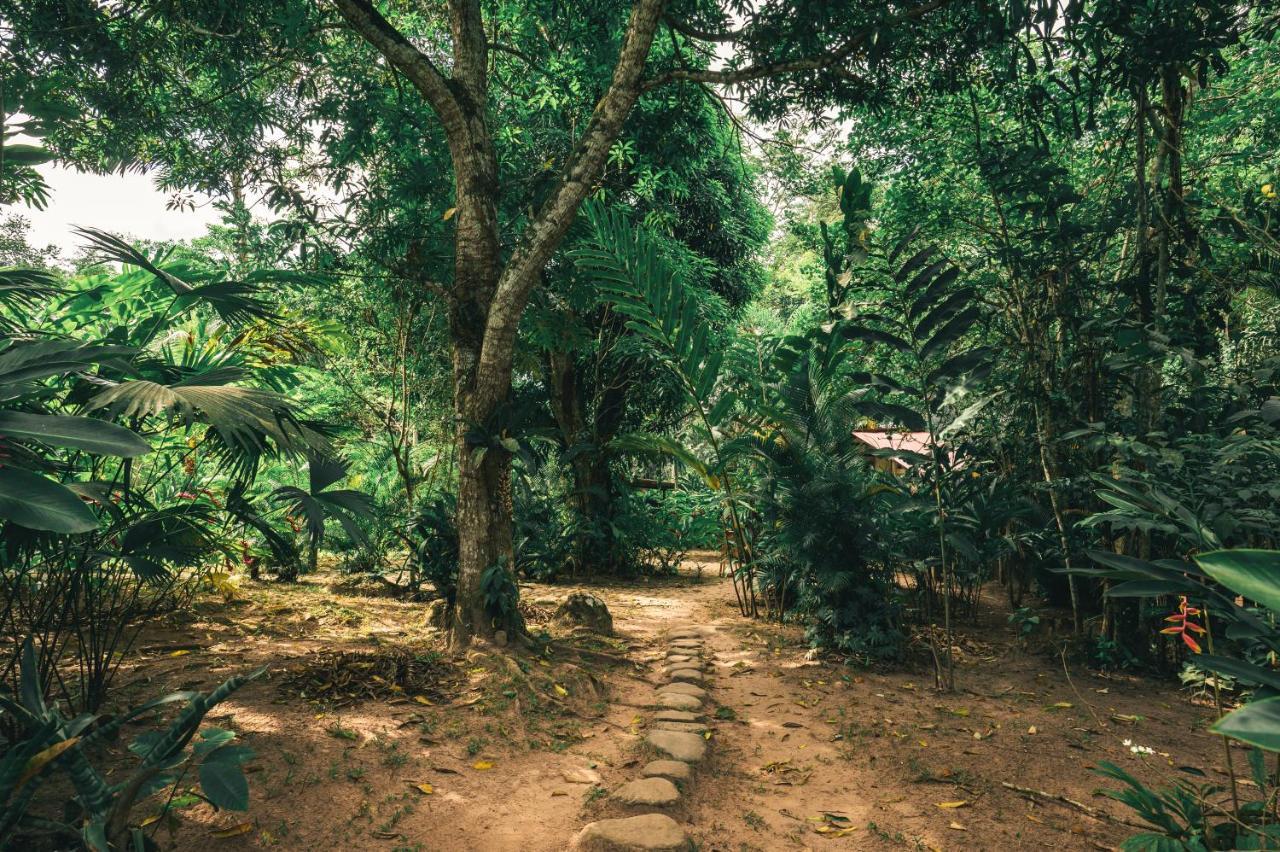 Huingos Eco Lodge Tarapoto Exteriér fotografie