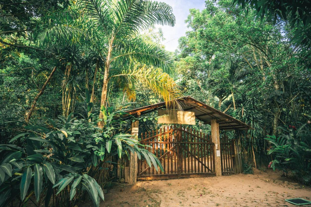 Huingos Eco Lodge Tarapoto Exteriér fotografie