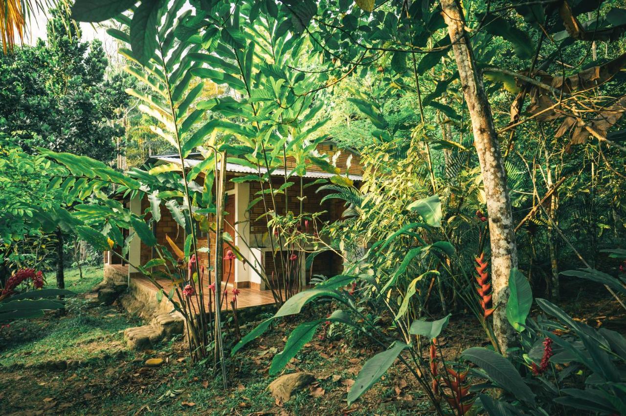 Huingos Eco Lodge Tarapoto Exteriér fotografie
