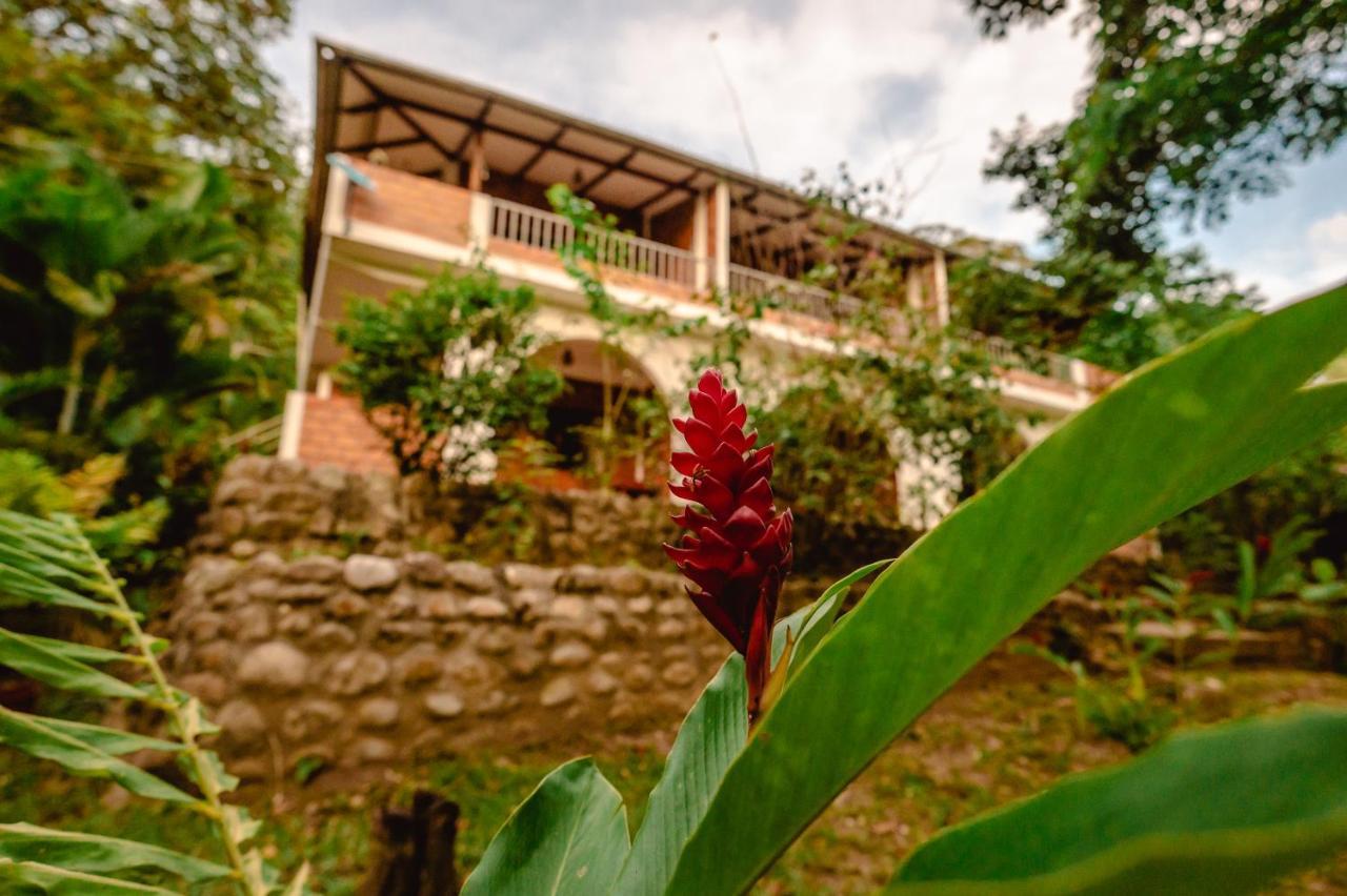 Huingos Eco Lodge Tarapoto Exteriér fotografie