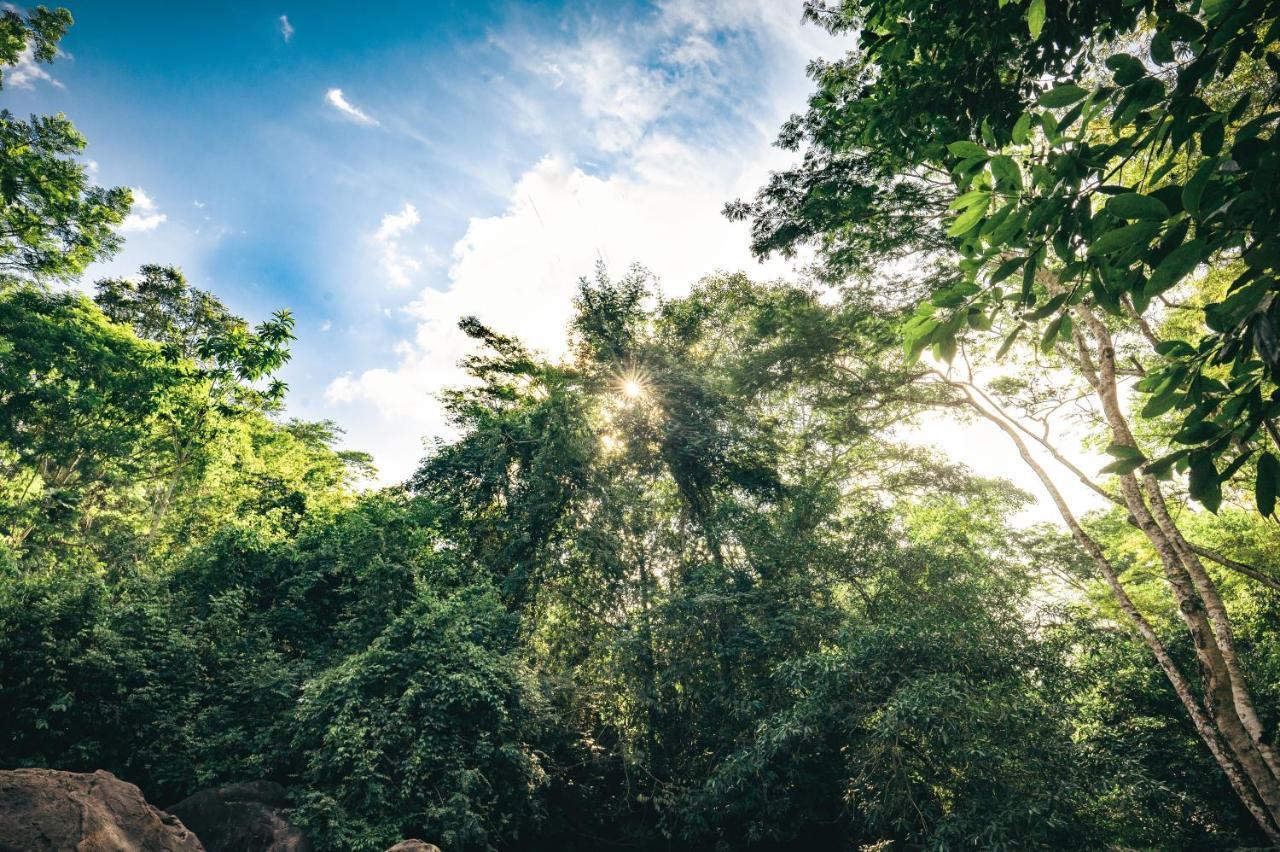Huingos Eco Lodge Tarapoto Exteriér fotografie