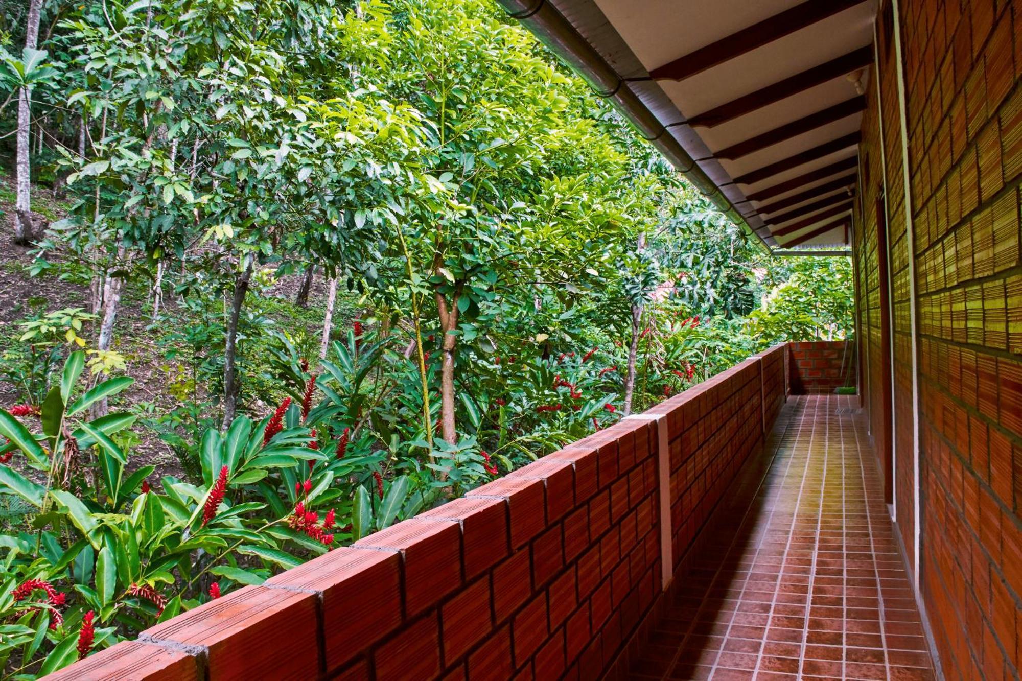 Huingos Eco Lodge Tarapoto Exteriér fotografie