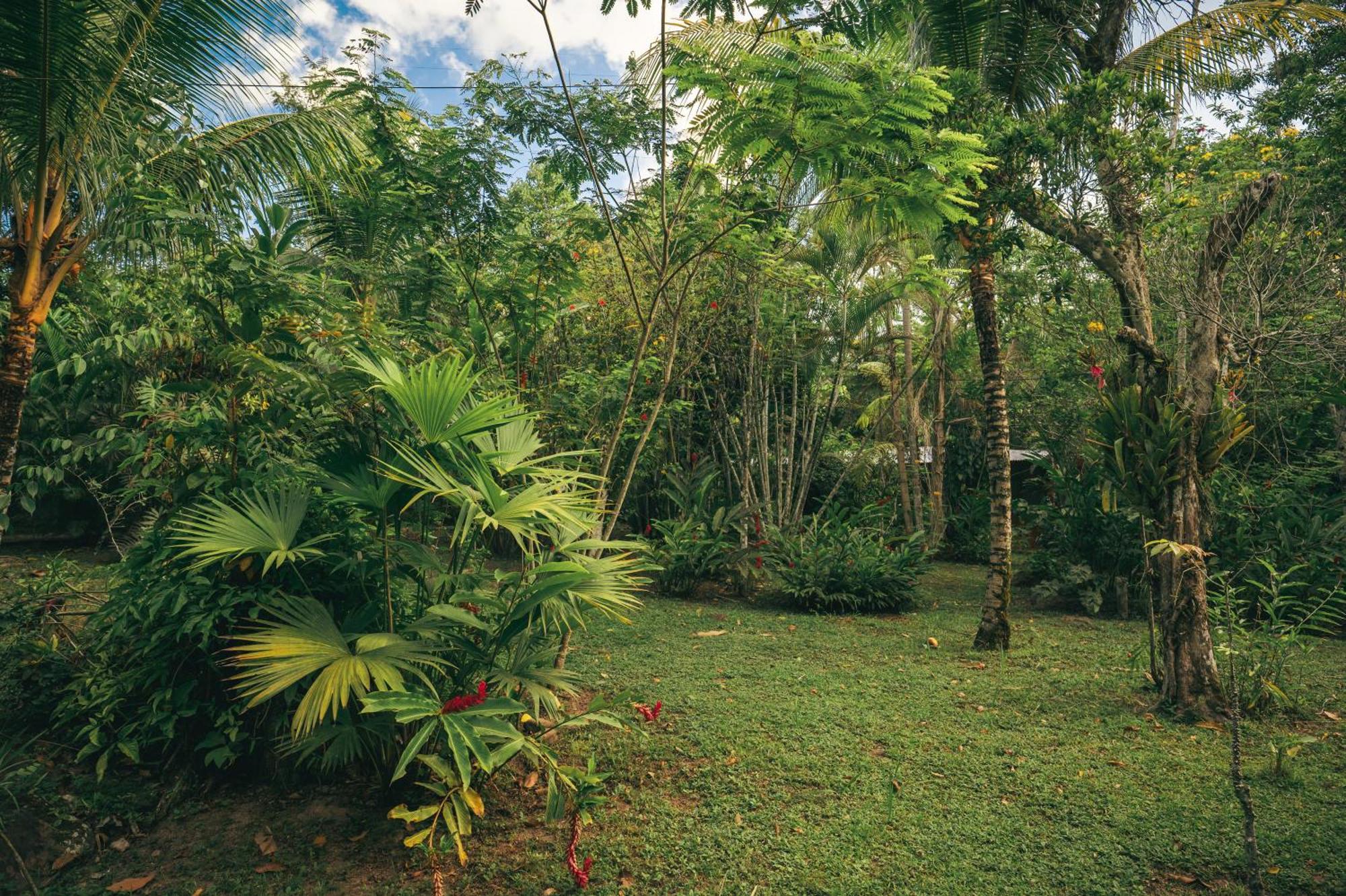 Huingos Eco Lodge Tarapoto Exteriér fotografie