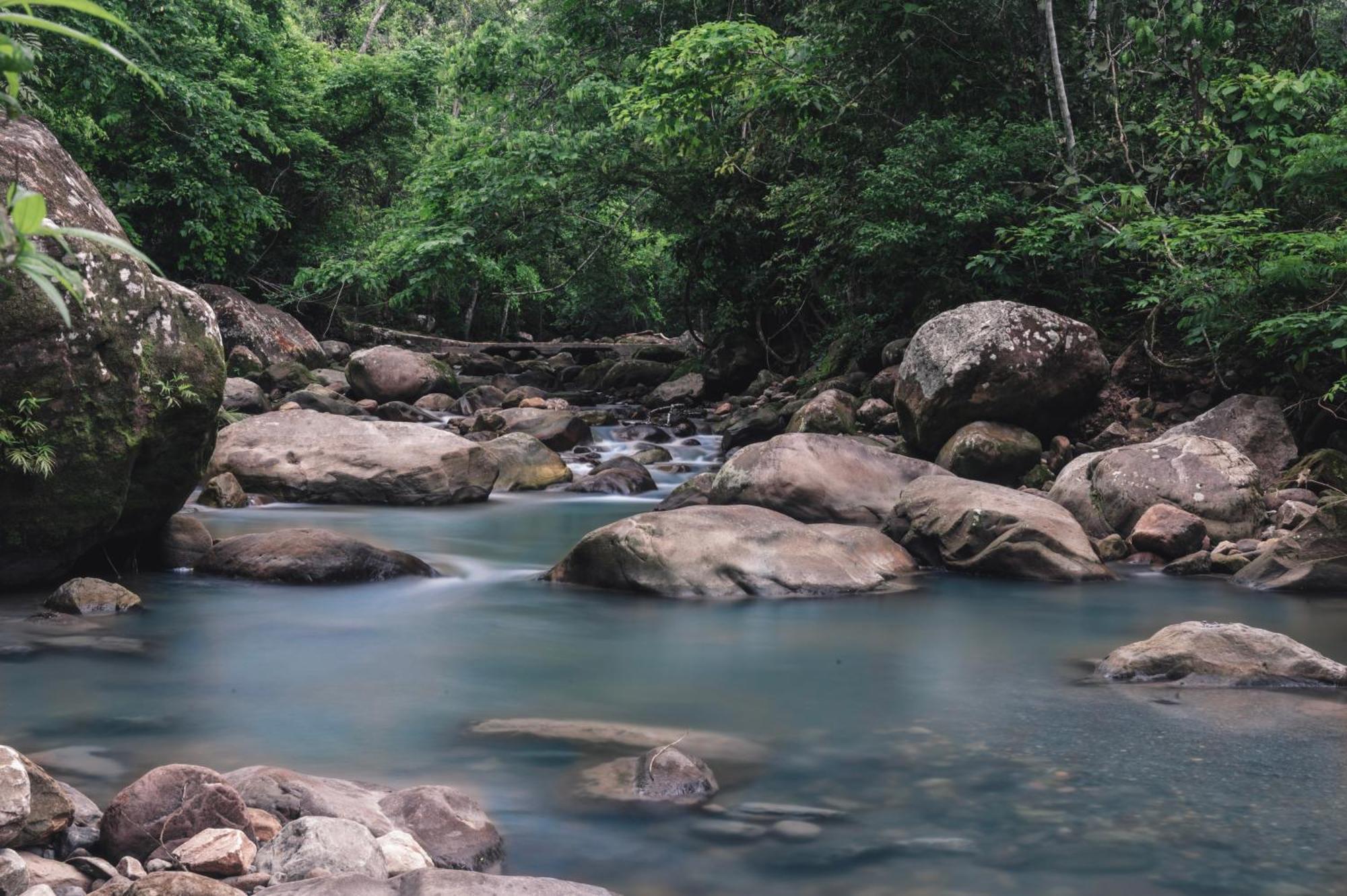 Huingos Eco Lodge Tarapoto Exteriér fotografie