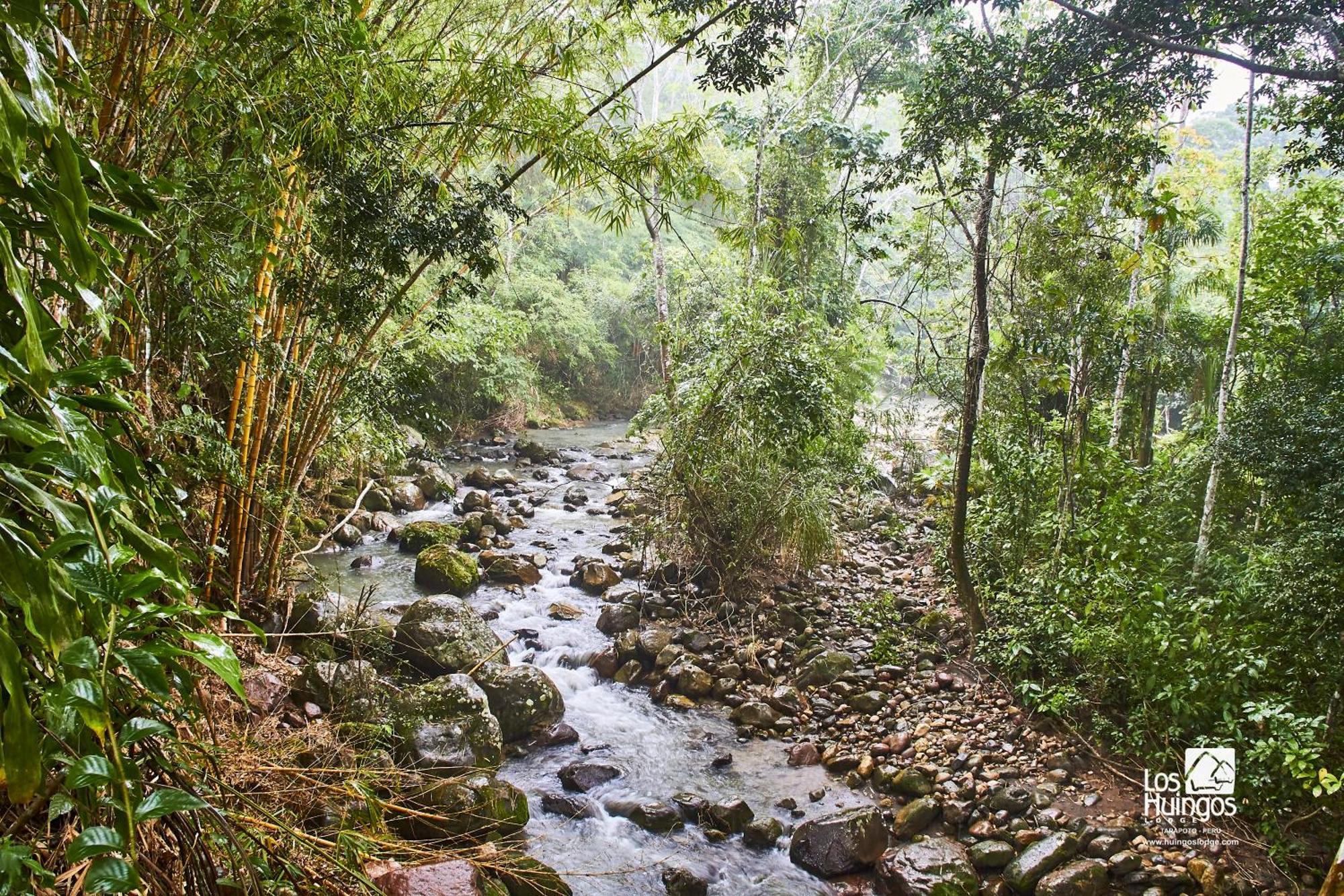 Huingos Eco Lodge Tarapoto Exteriér fotografie